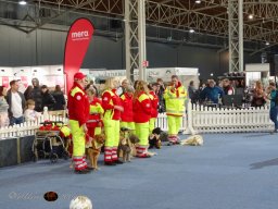 Haustiermesse Wien 2.03.2025